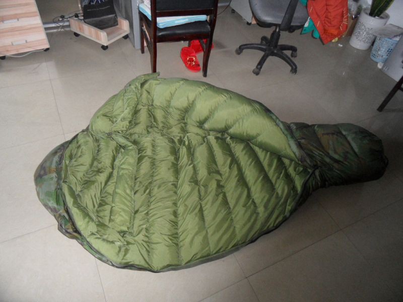 image005001 image005001